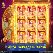 ouro selvagem farsa ouro selvagem o que aconteceu